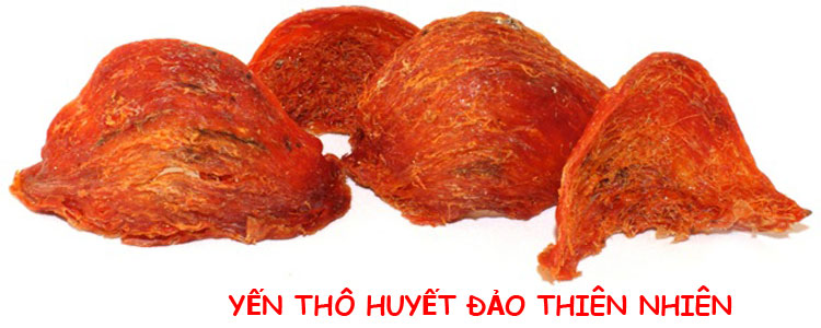 Tổ yến thô huyết đảo